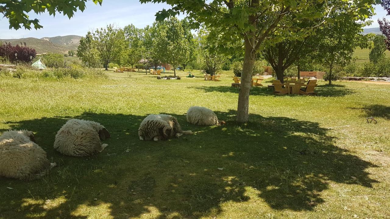 Ferme D'Hote La Vallee Hotel Azrou Exterior photo